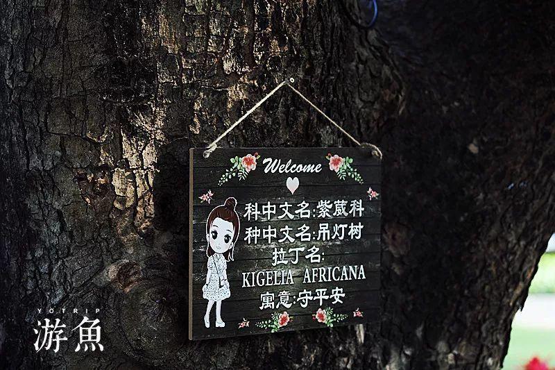 刹车油如何选择？游戏画面